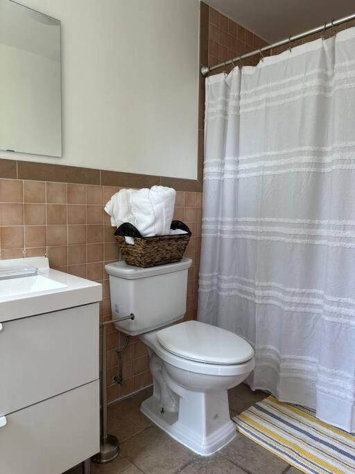 Bedstuy Beauty Appartement New York